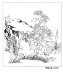 工笔花鸟