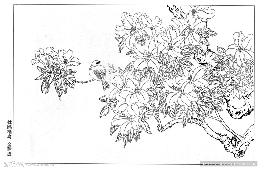 工笔花鸟