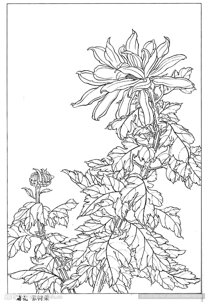工笔花鸟