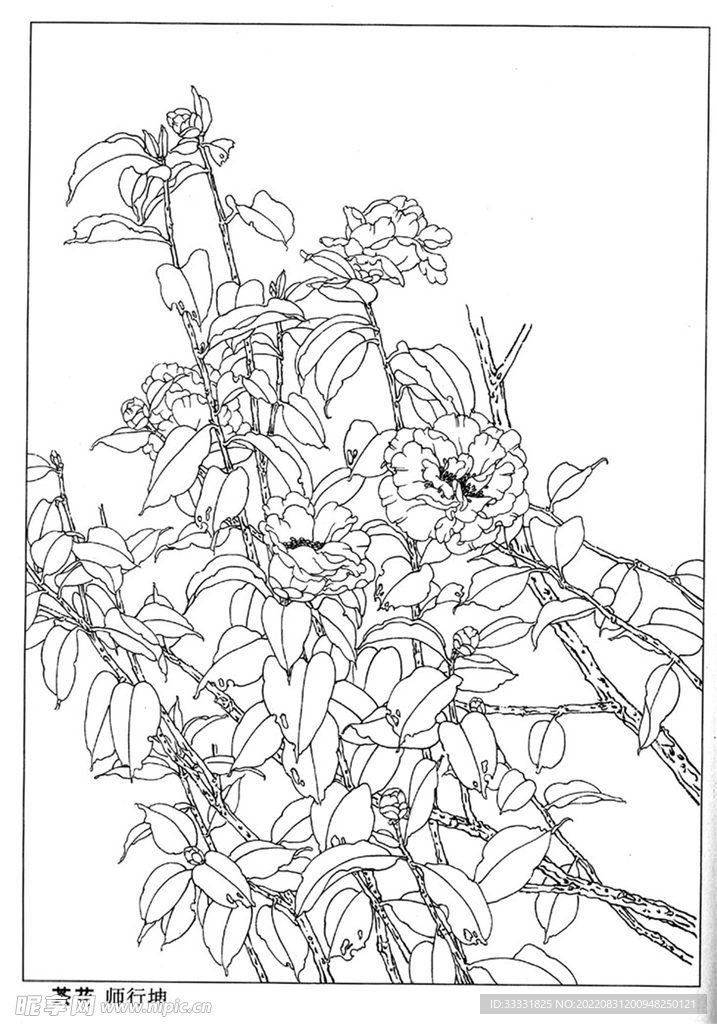 工笔花鸟