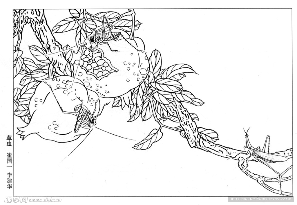 工笔花鸟