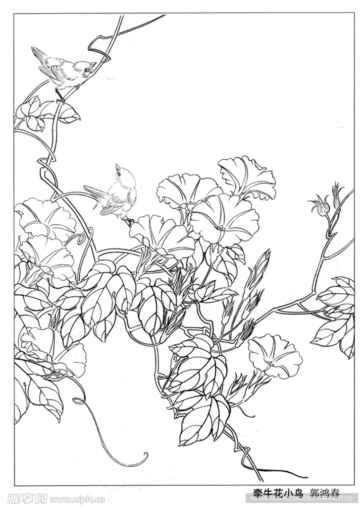 工笔花鸟