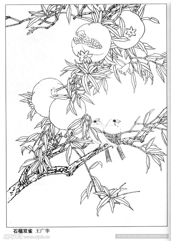 工笔花鸟