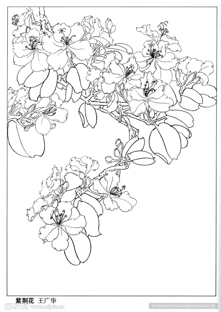工笔花鸟