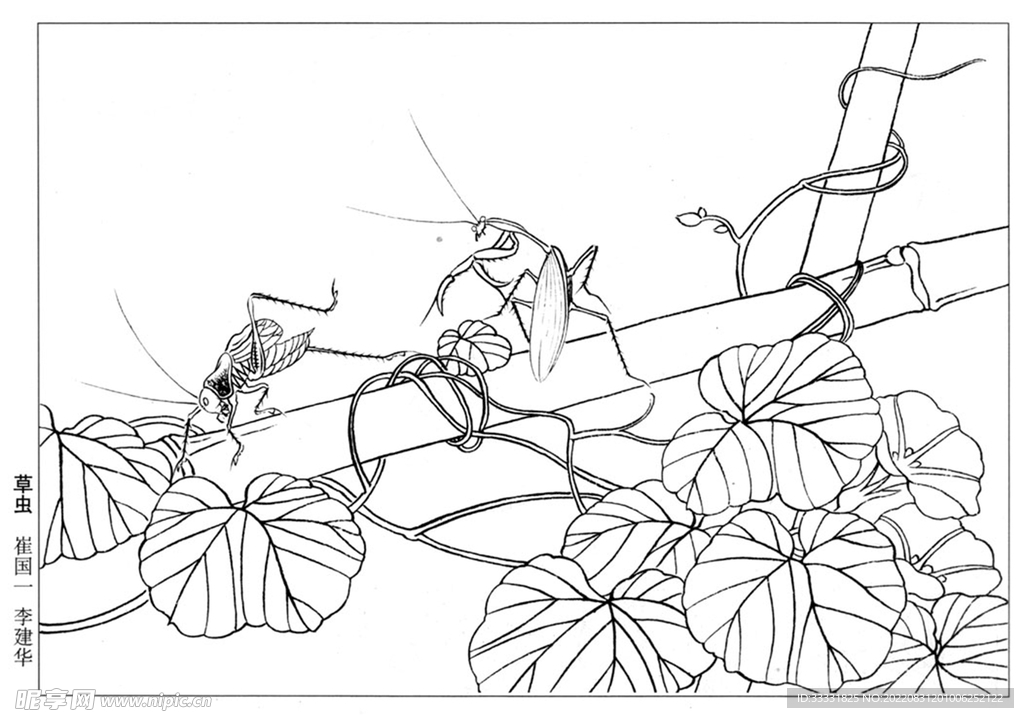工笔花鸟