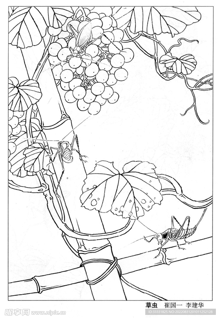 工笔花鸟