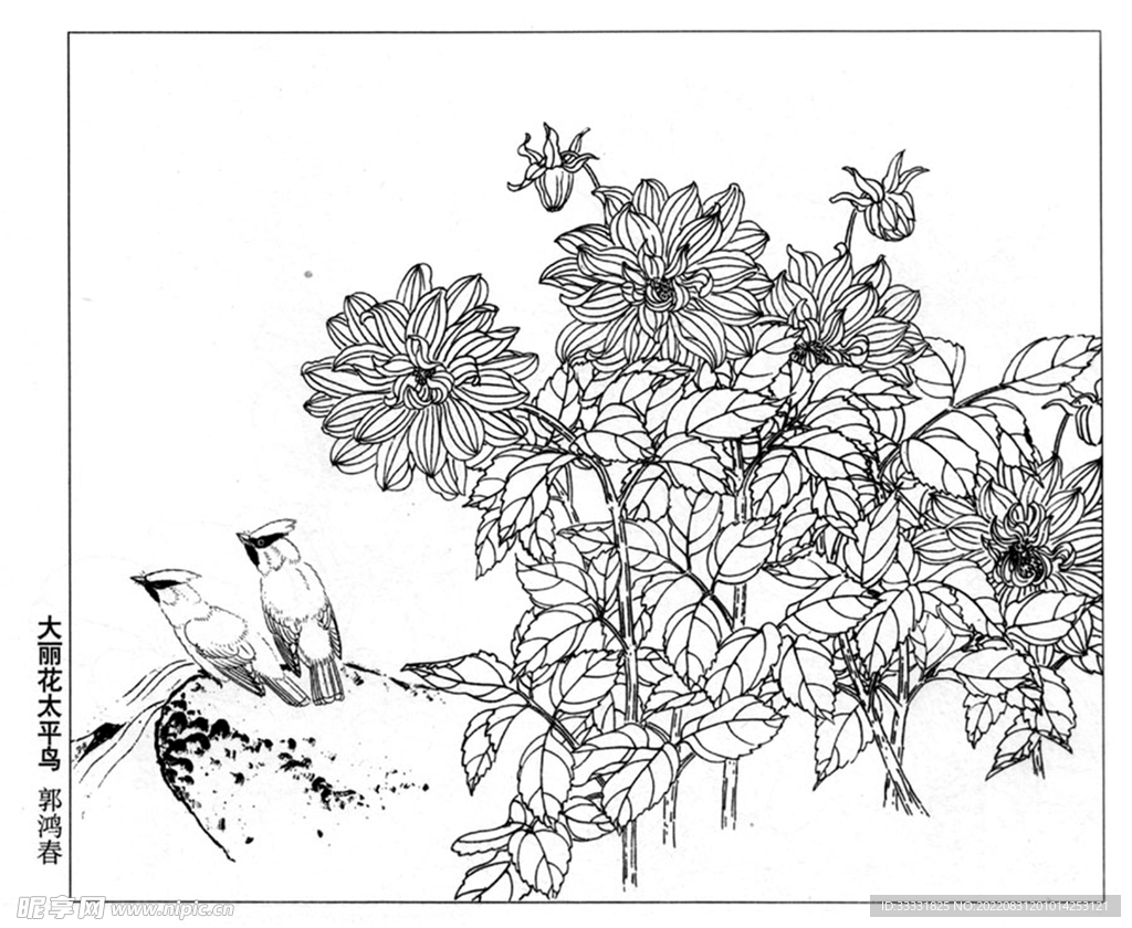 工笔花鸟