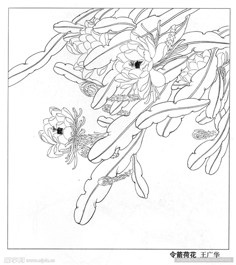 工笔花鸟
