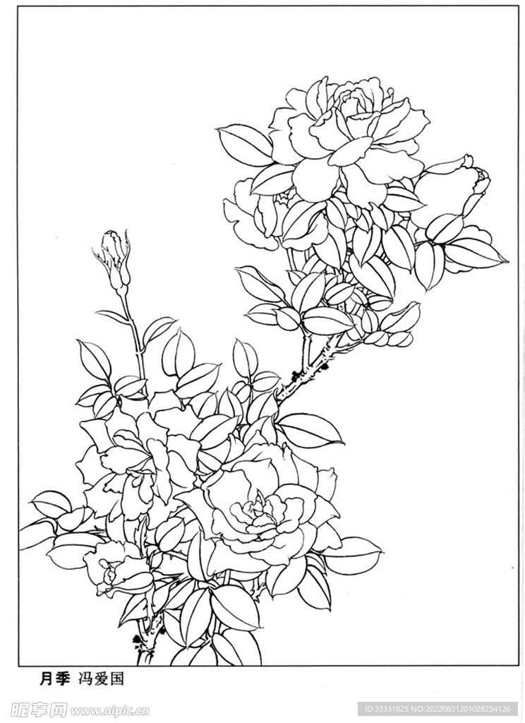 工笔花鸟