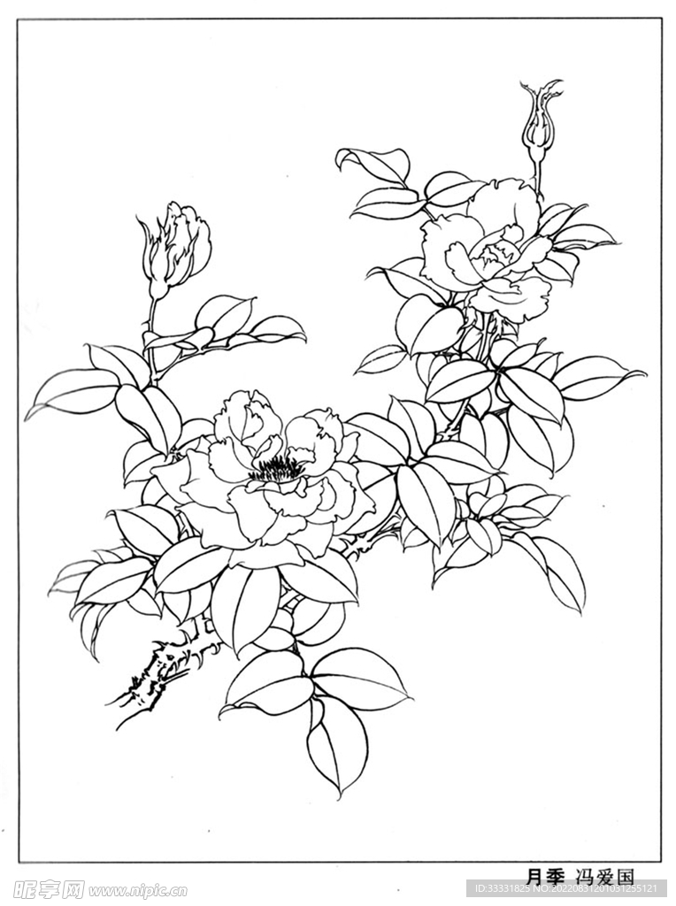 工笔花鸟