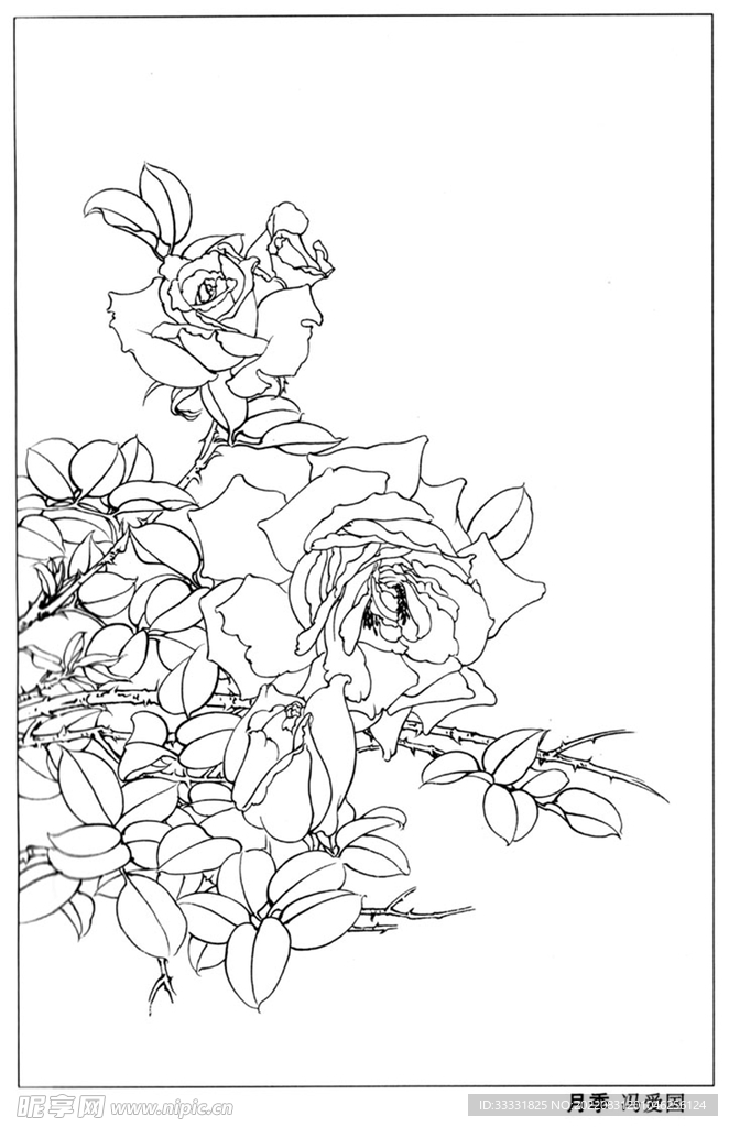 工笔花鸟