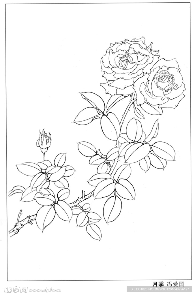 工笔花鸟