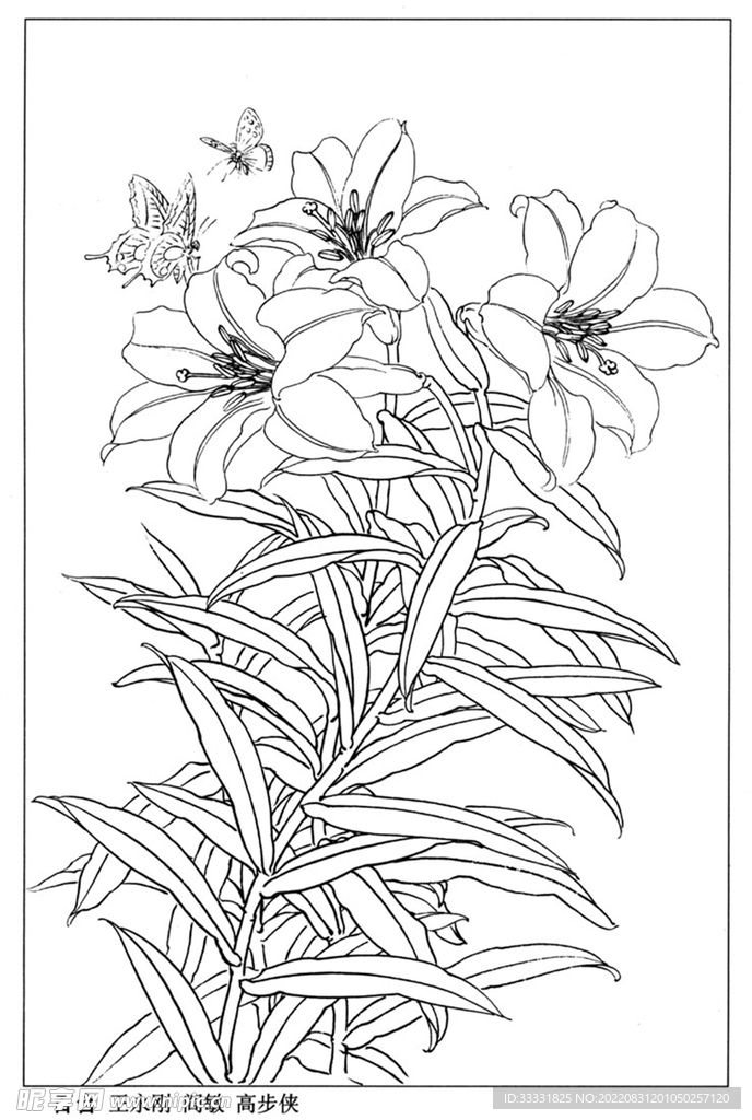 工笔花鸟