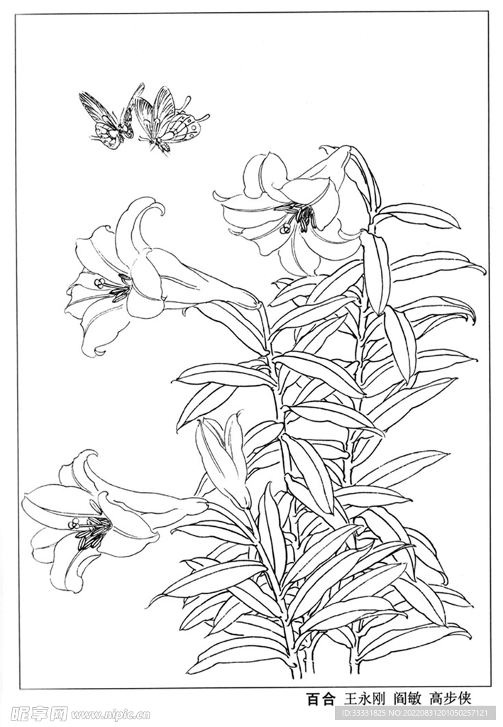 工笔花鸟