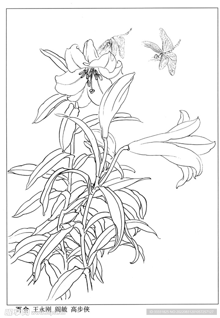 工笔花鸟
