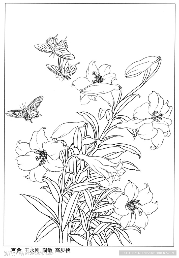 工笔花鸟