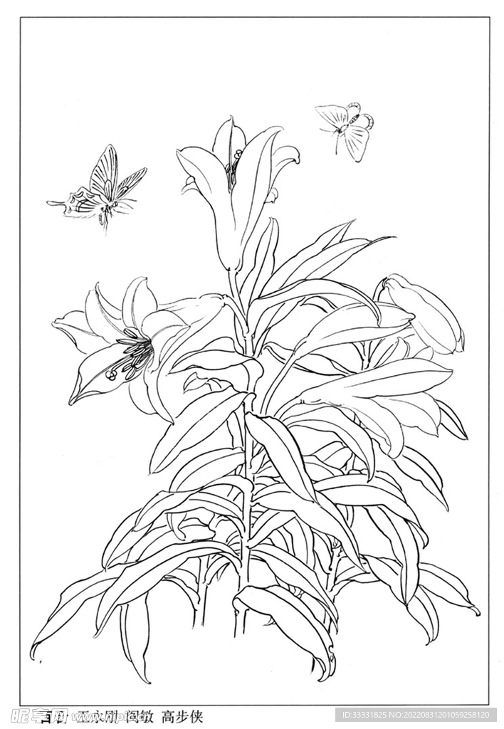 工笔花鸟