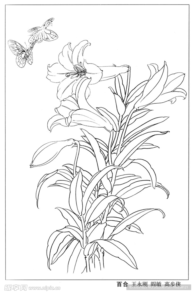 工笔花鸟