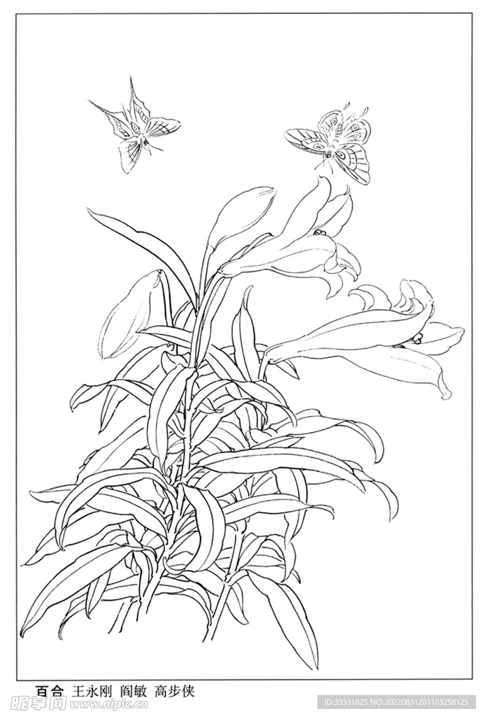 工笔花鸟
