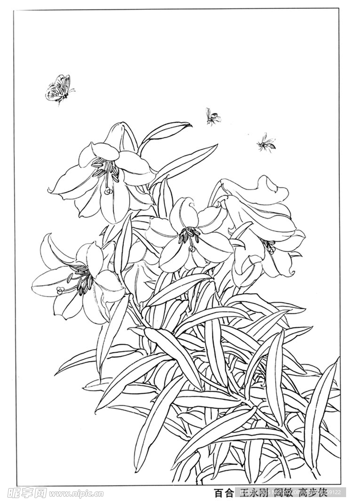 工笔花鸟