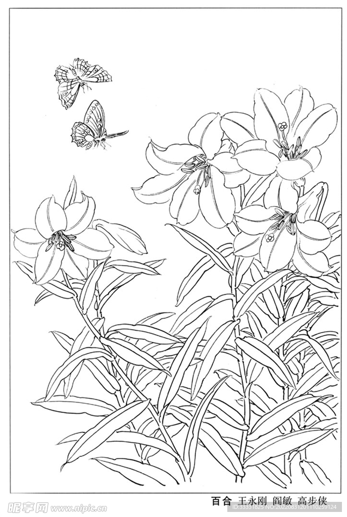 工笔花鸟