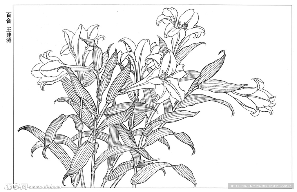 工笔花鸟