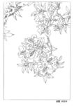 工笔花鸟