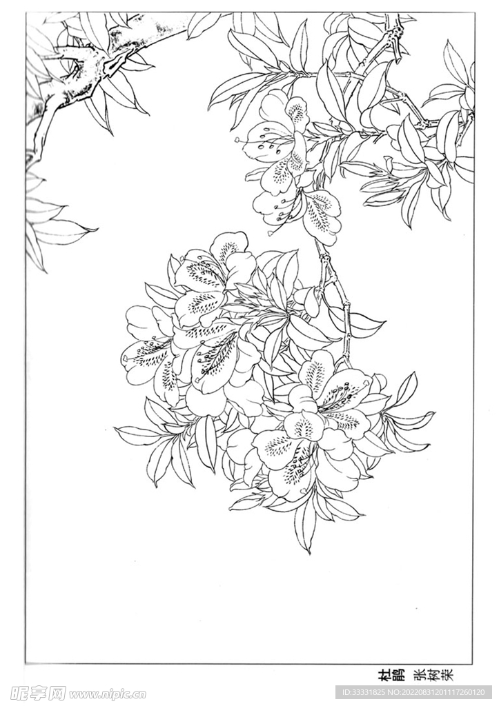 工笔花鸟