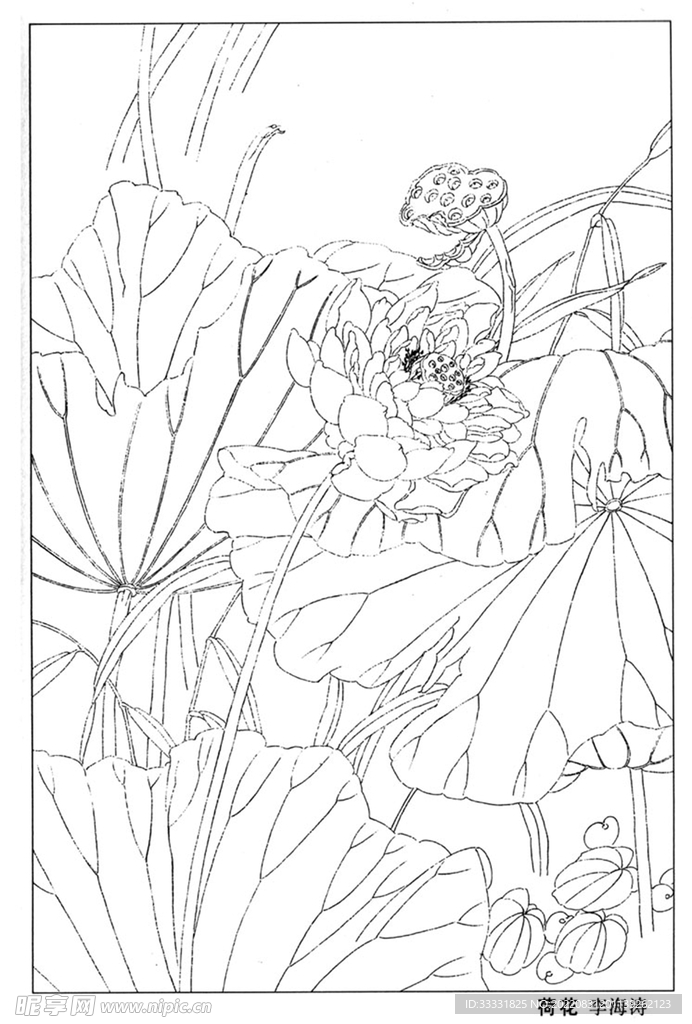 工笔花鸟