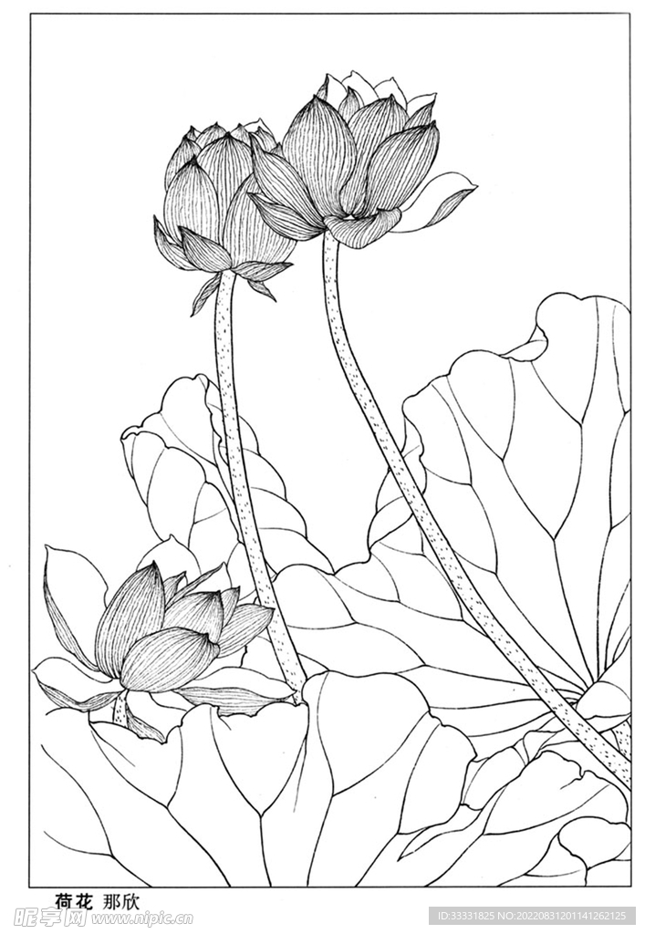 工笔花鸟