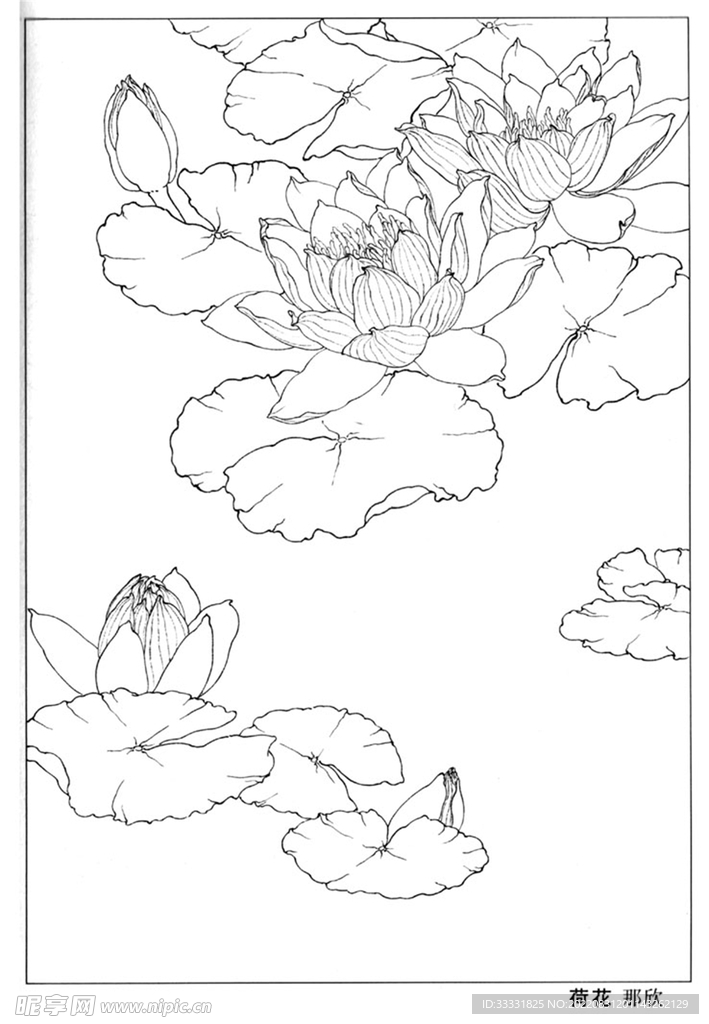 工笔花鸟