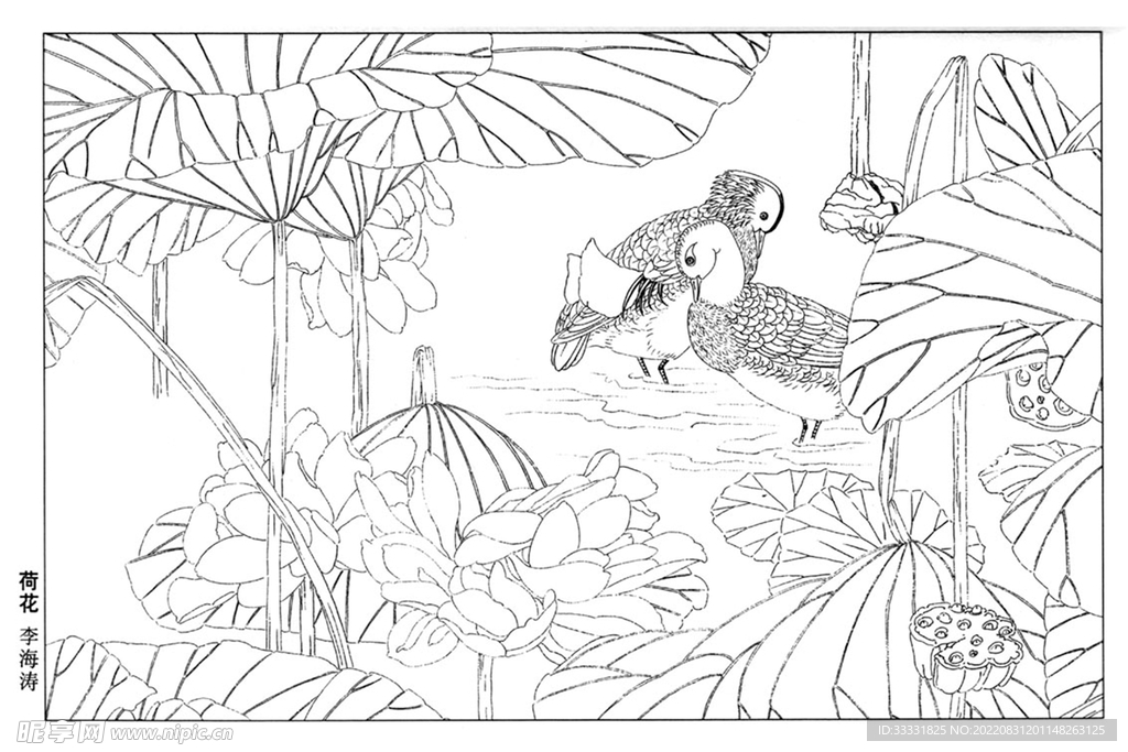 工笔花鸟