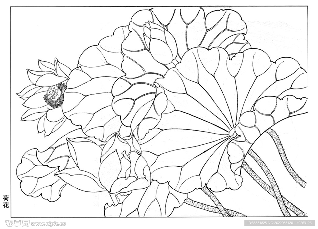 工笔花鸟