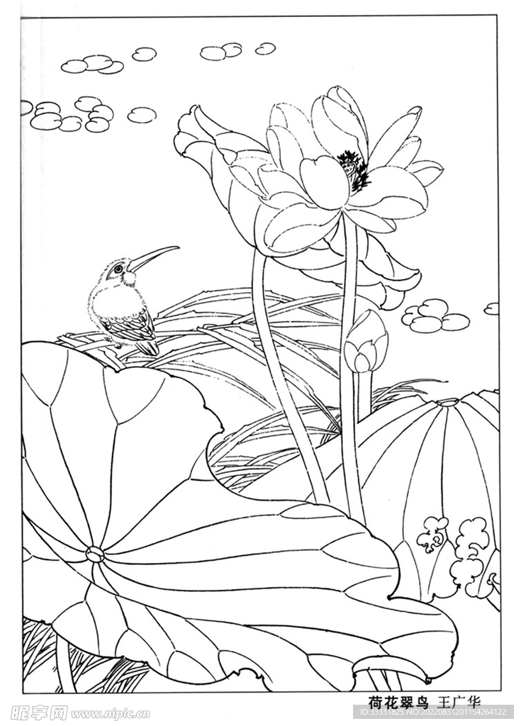 工笔花鸟