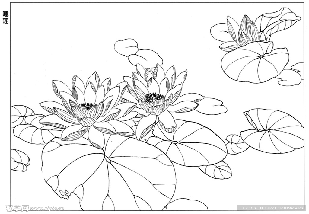 工笔花鸟