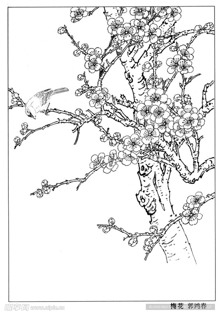 工笔花鸟
