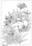 工笔花鸟