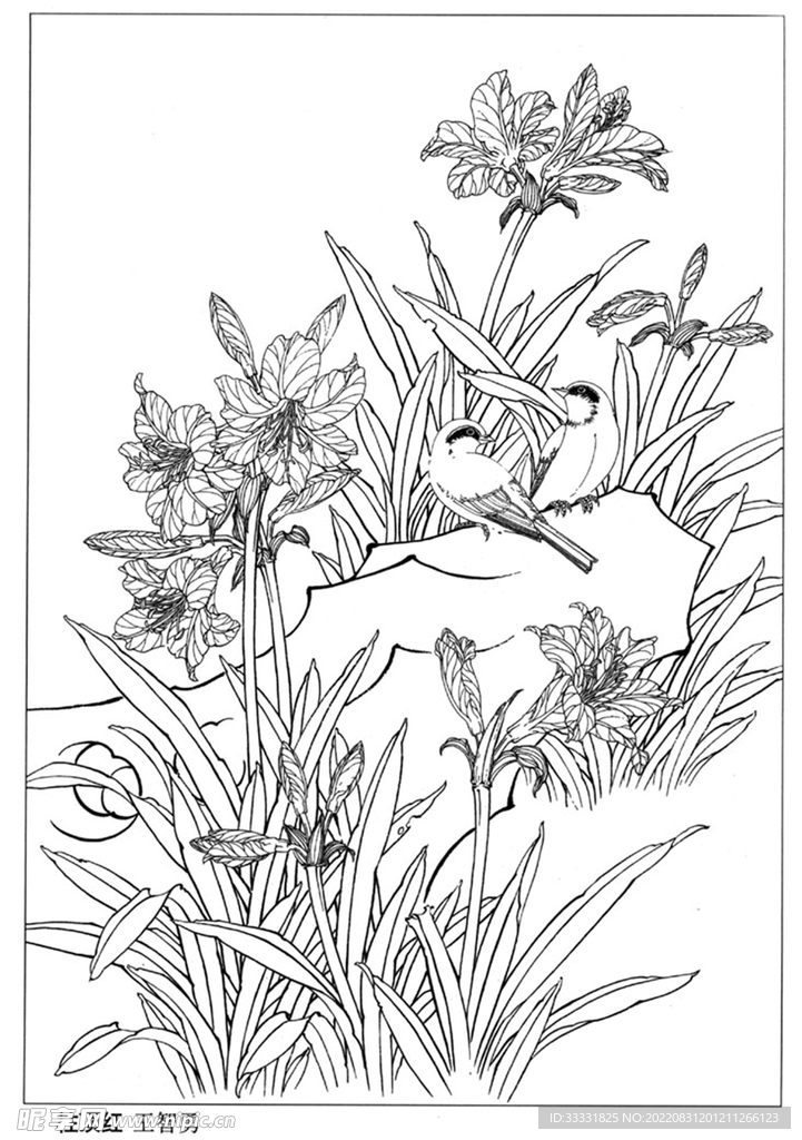 工笔花鸟