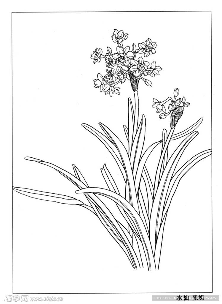 工笔花鸟
