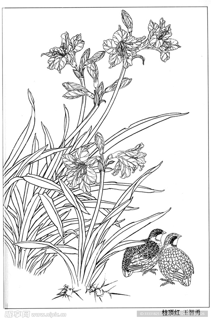 工笔花鸟