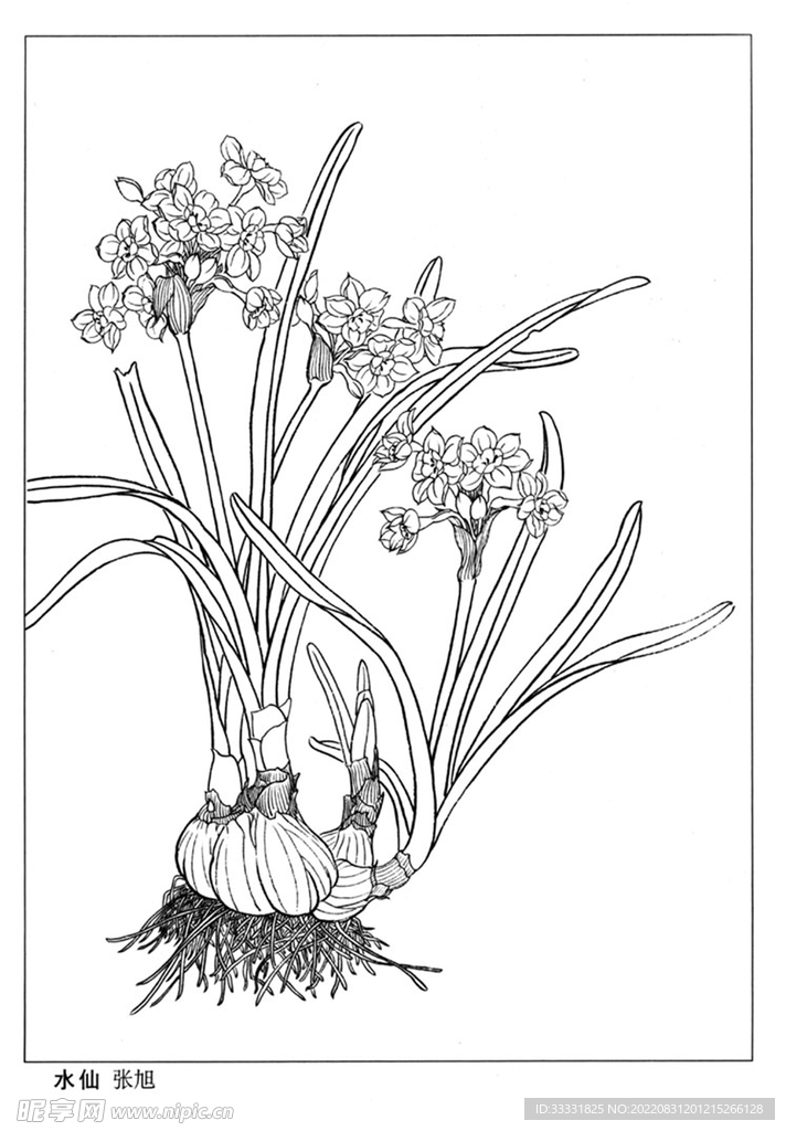 工笔花鸟