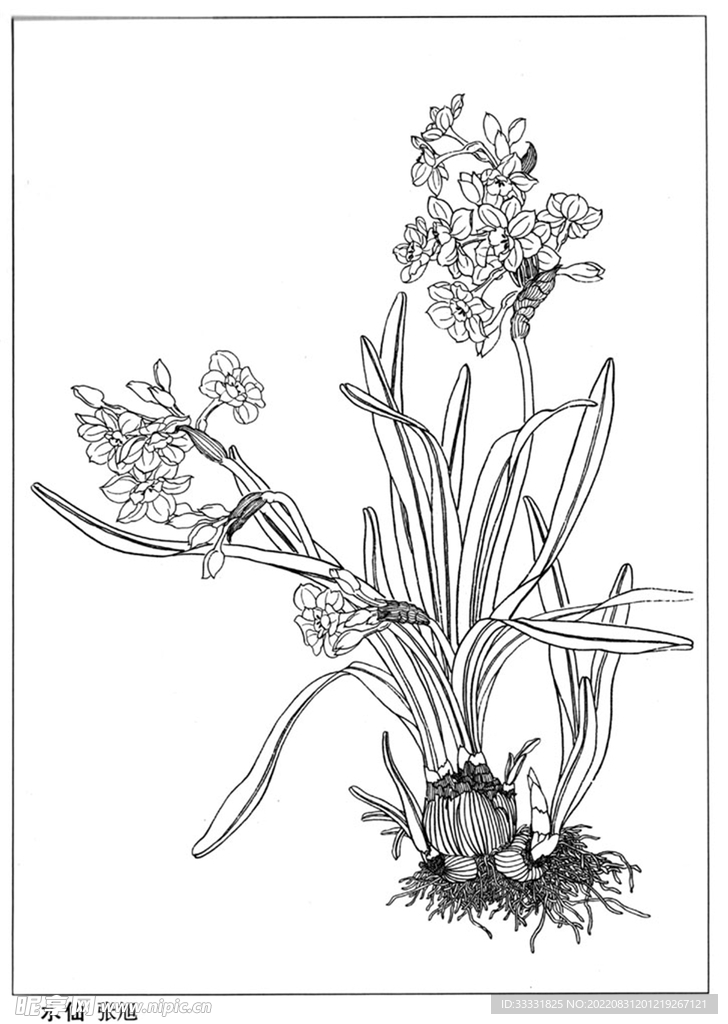 工笔花鸟