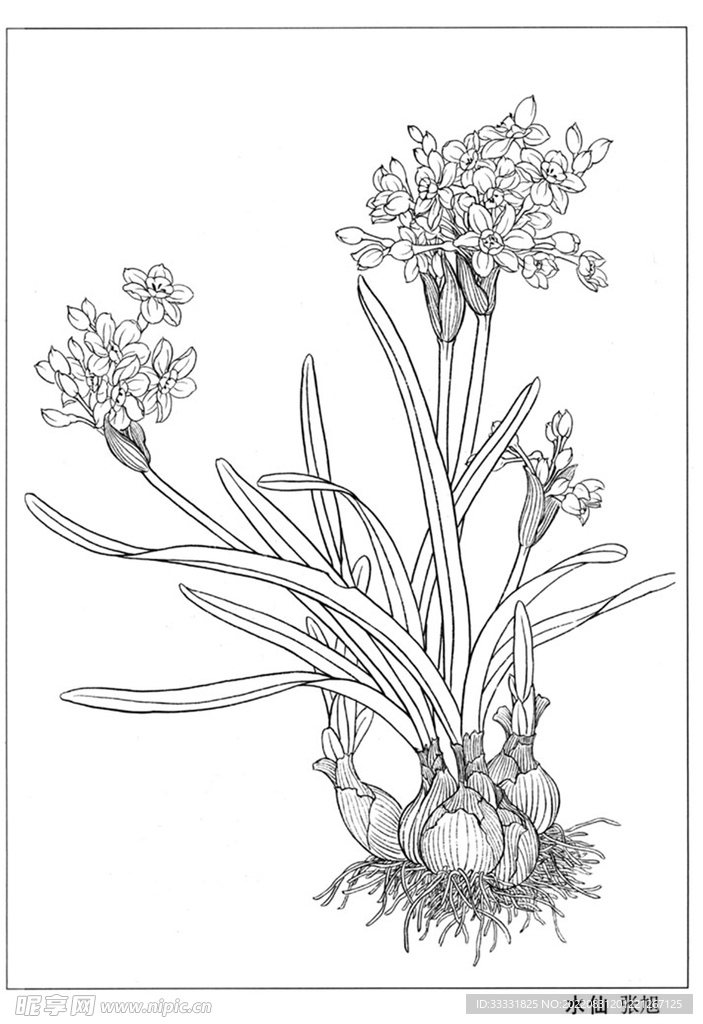 工笔花鸟