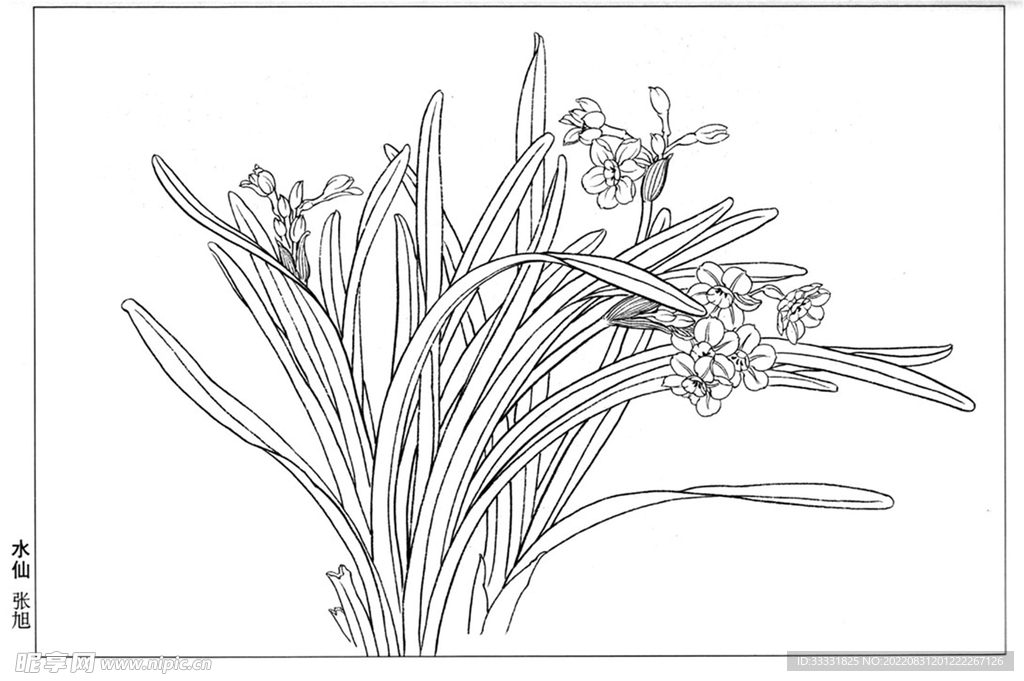 工笔花鸟