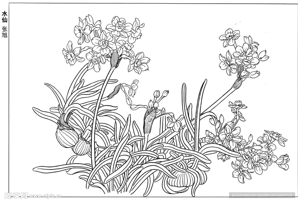 工笔花鸟