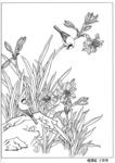 工笔花鸟