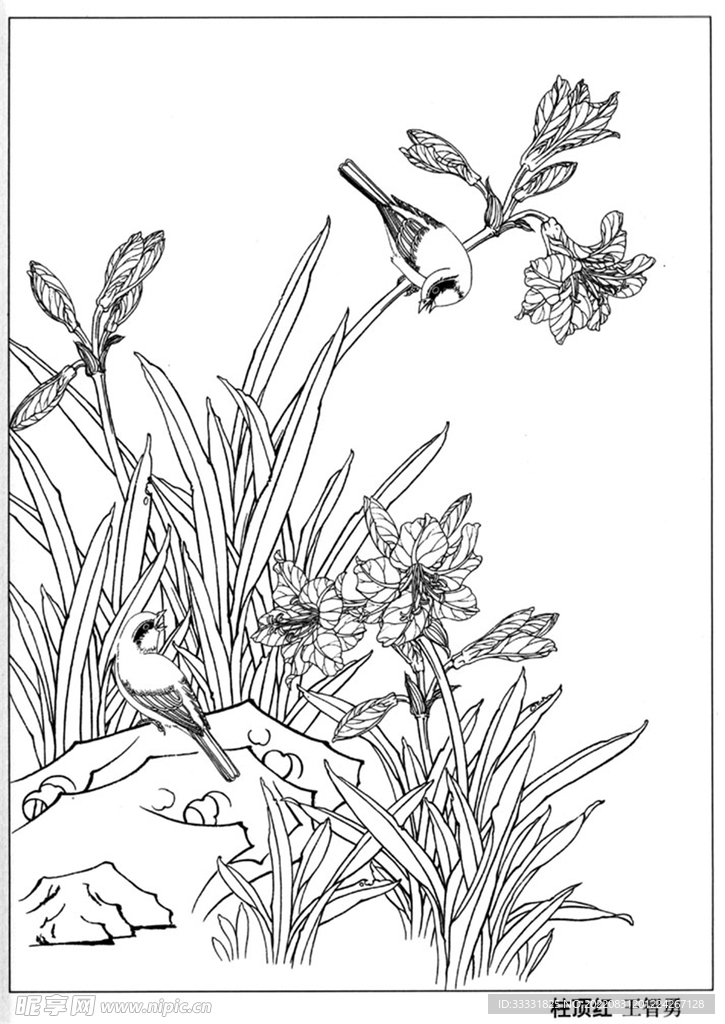 工笔花鸟