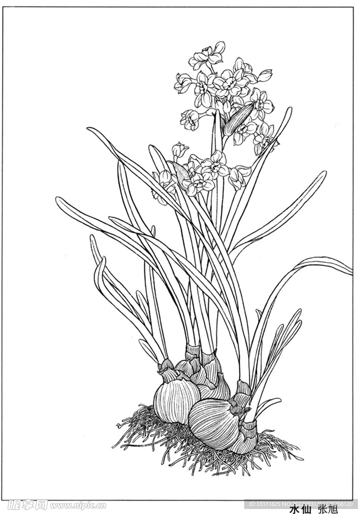 工笔花鸟