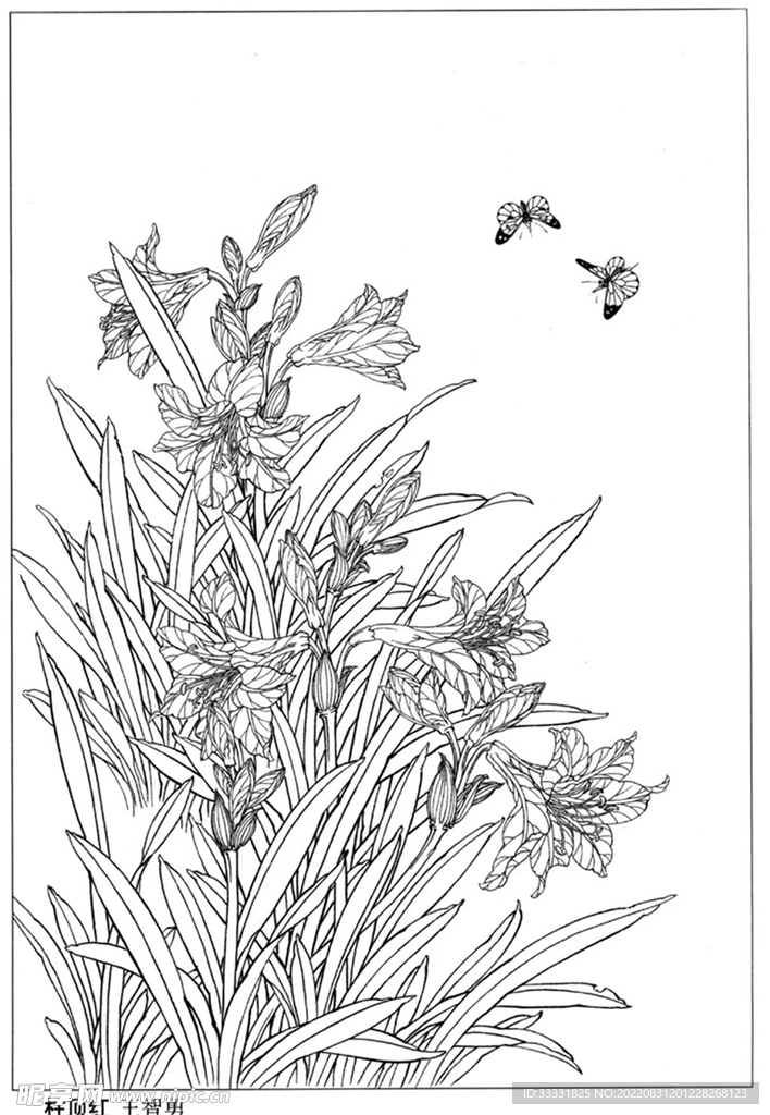 工笔花鸟