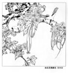 工笔花鸟